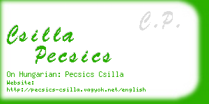 csilla pecsics business card